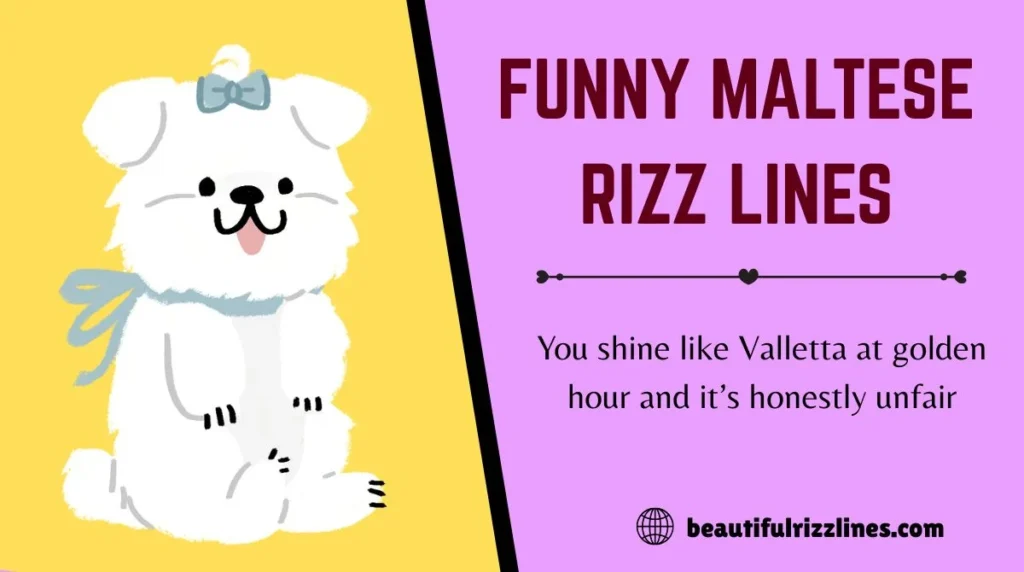 Funny Maltese Rizz Lines