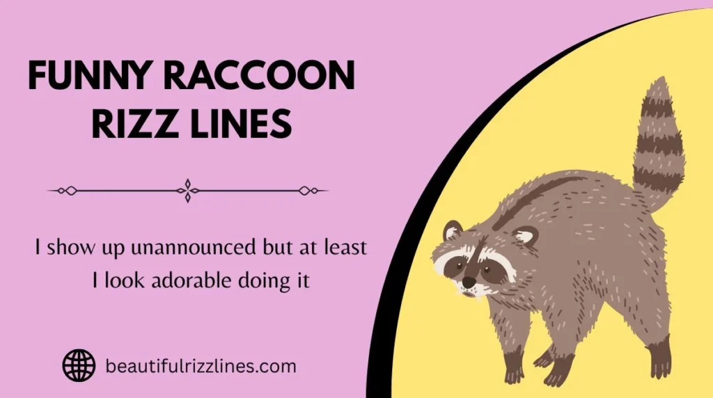 Funny Raccoon Rizz Lines