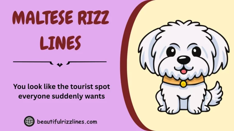 Maltese Rizz Lines