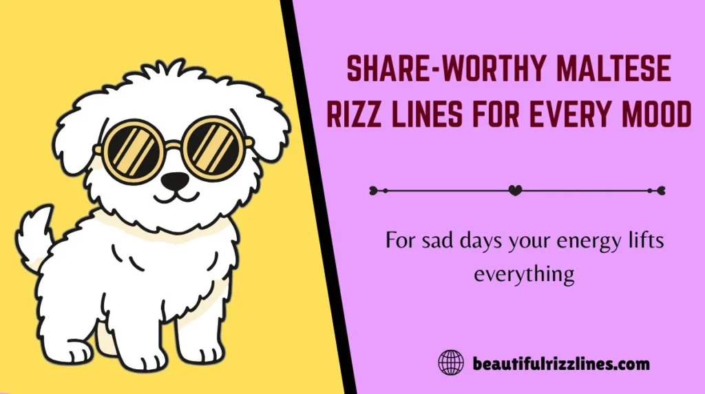 Share-Worthy Maltese Rizz Lines for Every Mood