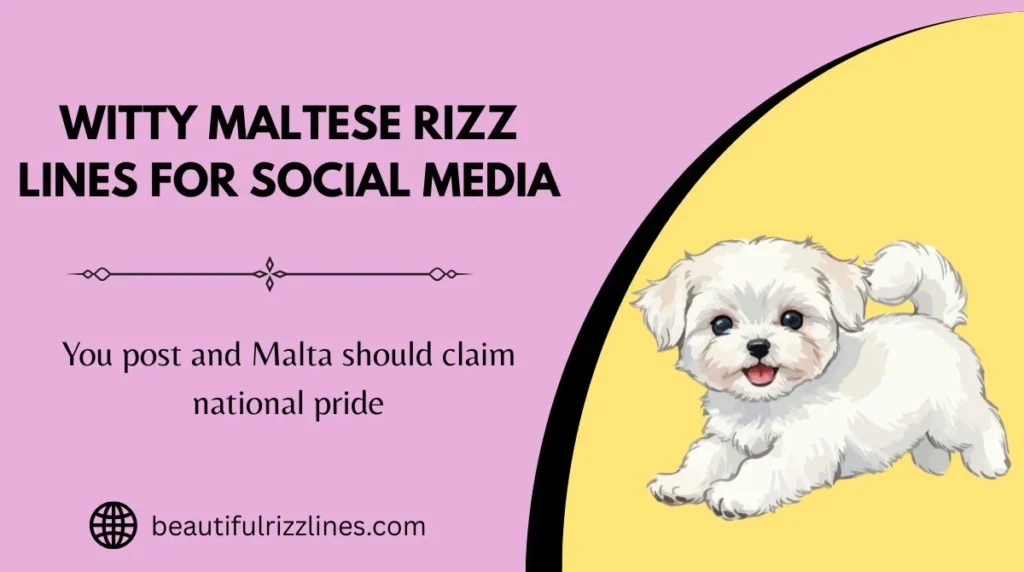 Witty Maltese Rizz Lines for Social Media